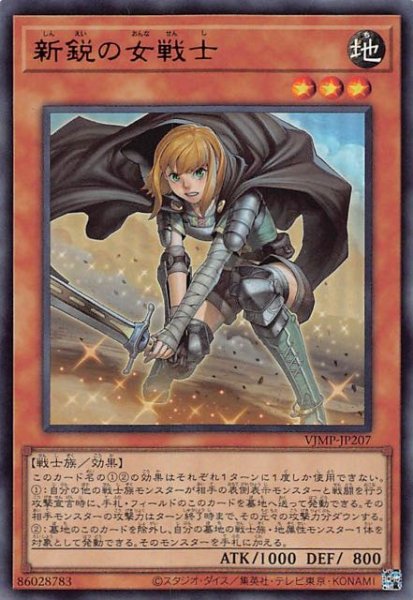 画像1: 【プロモ】新鋭の女戦士　VJMP-JP207 (1)