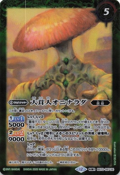 画像1: 【転醒レア】ユム・カアシュの粘菌神殿/大茸人オニナラダ　BS73-067 (1)