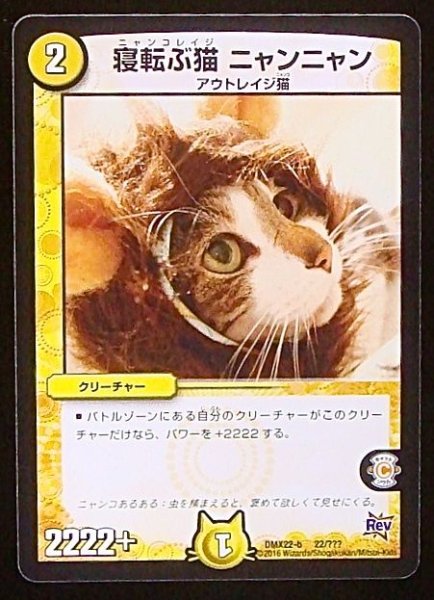 画像1: 【???】寝転ぶ猫 ニャンニャン　DMX22-b 22/??? (1)