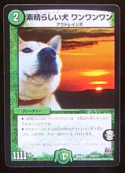 画像1: 【???】素晴らしい犬 ワンワンワン　DMX22-b 110/??? (1)