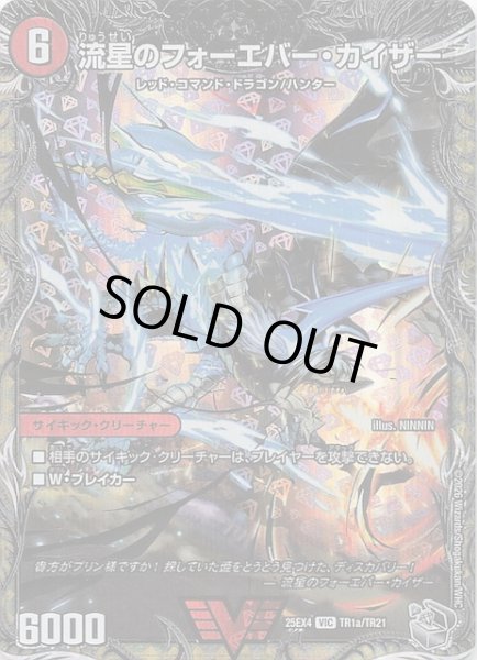 画像1: 【DM25-EX4 銀トレジャー】流星のフォーエバー・カイザー/星龍王ガイアール・リュウセイドラゴン　TR1a/・TR1b/TR21 (1)