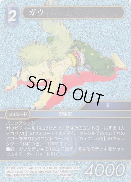 画像1: 【プレミアム 悪夢より来たる　Hero】ガウ　19-089H (1)