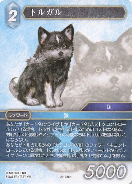 画像1: 【至福の永劫 ヒーロー】トルガル　29-035H (1)