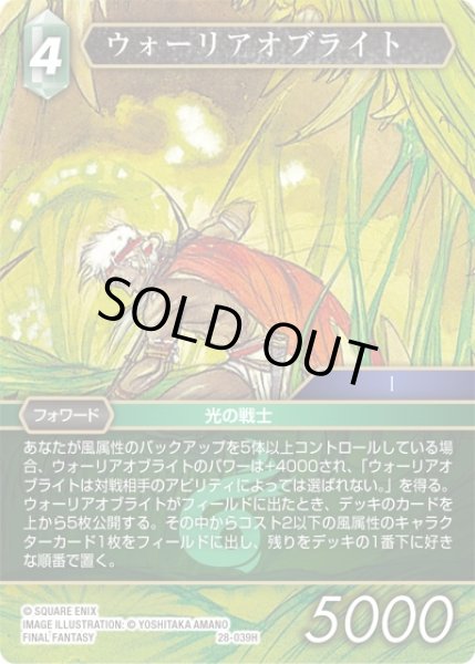 画像1: 【夢幻の海 ヒーロー】ウォーリアオブライト　28-039H (1)