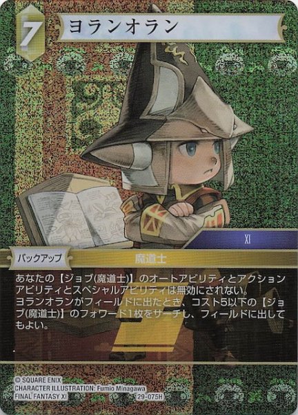 画像1: 【プレミアム 至福の永劫 ヒーロー】ヨランオラン　29-075H (1)