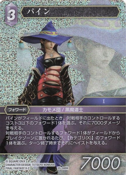 画像1: 【プレミアム 星の涙 ヒーロー】パイン　25-080H (1)
