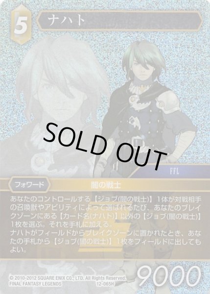 画像1: 【Opus XII　Hero　プレミアム】ナハト　12-065 H (1)