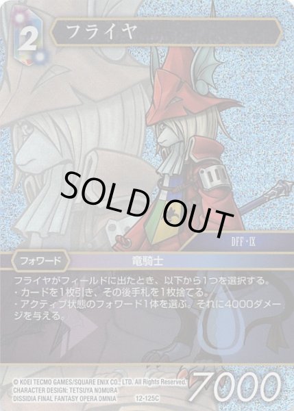 画像1: 【Opus XII Common プレミアム】フライヤ 12-125 C (1)