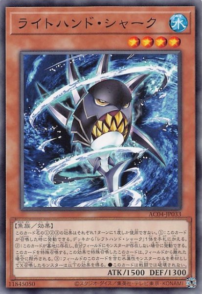 画像1: 【ノーマル】ライトハンド・シャーク　AC04-JP033 (1)