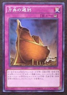 ザ・レアリティ・コレクション - マナソース2nd