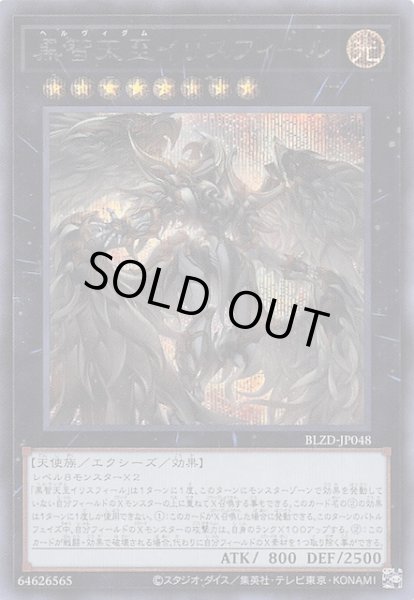 画像1: 【シークレットレア仕様】黒智天至イリスフィール　BLZD-JP048 (1)