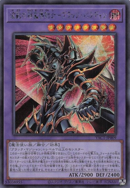 画像1: 【シークレットレア仕様】波動の超魔導剣士－ブラック・パラディン　YAC1-JP009 (1)