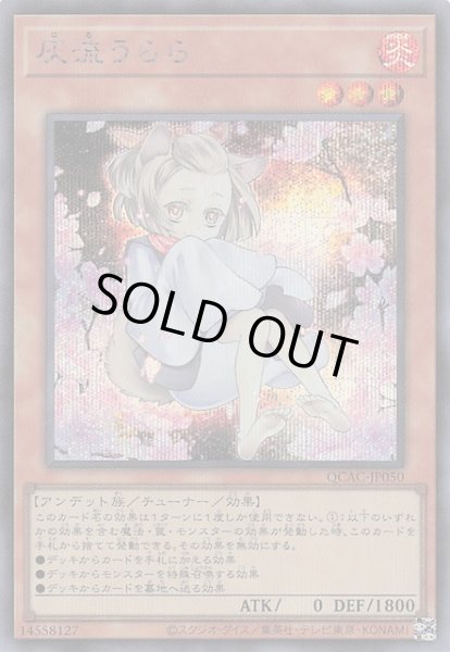 画像1: 【シークレットレア仕様】灰流うらら(B)　QCAC-JP050 (1)