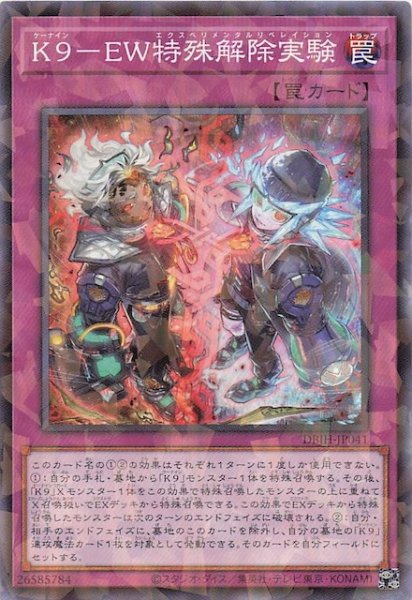 画像1: 【ノーマルパラレル仕様】Ｋ９－ＥＷ特殊解除実験　DBJH-JP041 (1)