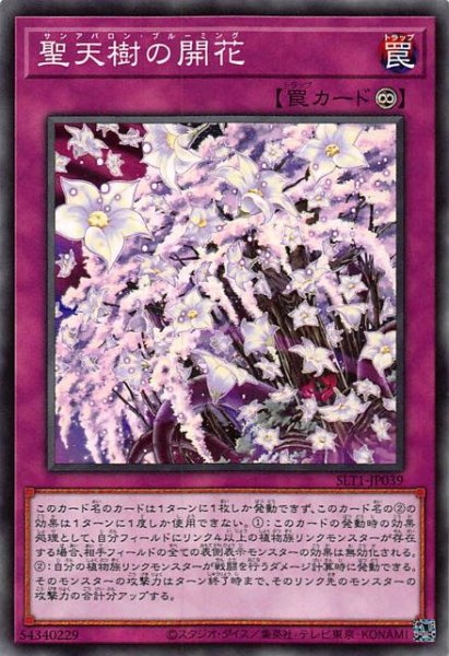 画像1: 【ノーマル】聖天樹の開花　SLT1-JP039 (1)