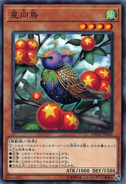 画像1: 【ノーマル】星向鳥　DANE-JP024 (1)