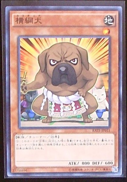 画像1: 【ノーマル】横綱犬　RATE-JP031 (1)