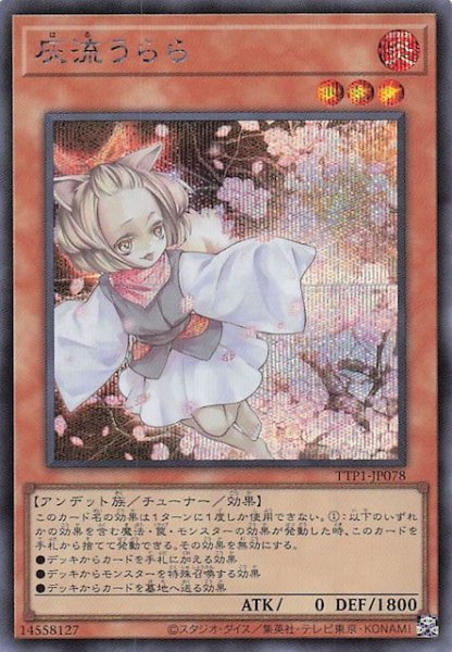画像1: 【シークレットレア仕様】灰流うらら　TTP1-JP078 (1)